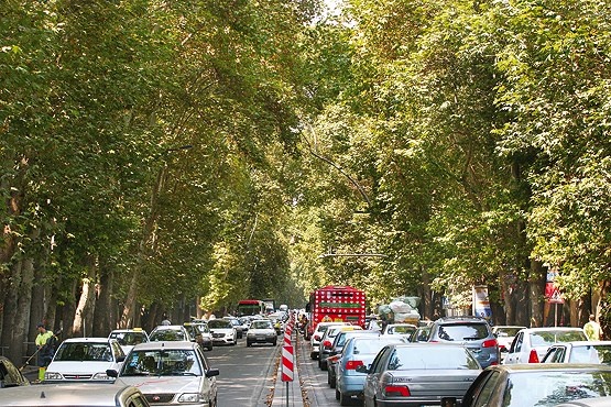 افزایش کشش نهرهای زیرین طویل‌ترین خیابان تهران