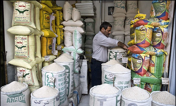 نرخ‌ ارز؛ عامل گرانی برنج ایرانی