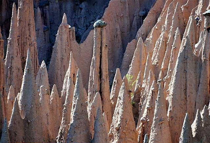 بازمانده‌های عصر یخبندان! +تصاویر