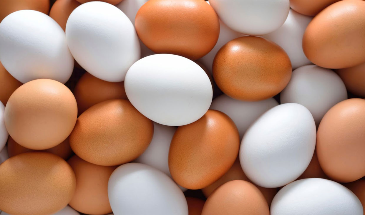 قیمت تخم مرغ بسته بندی شده چند؟ + جدول (۱۷مرداد)
