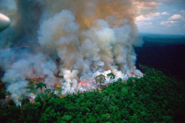 رایزنی برزیل با آمریکا واسرائیل برای اطفای حریق در جنگلهای آمازون