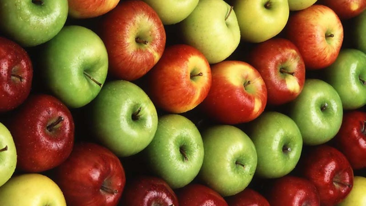 صادرات سیب ۸برابر شد