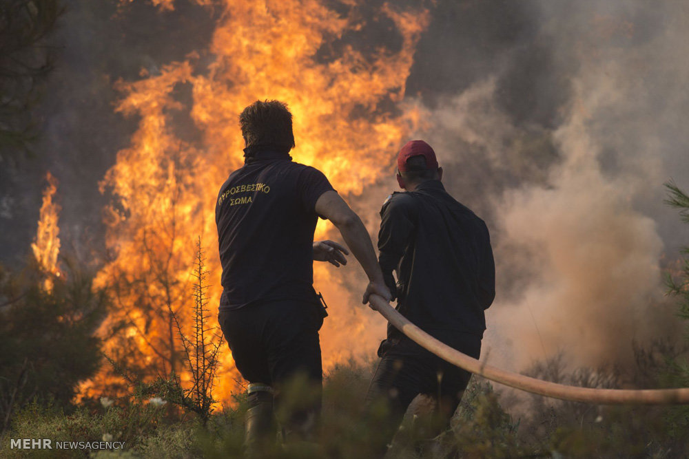 آتش سوزی مرگبار در جنگل های یونان +فیلم