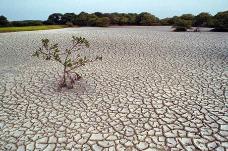 قرارگرفتن ۳منطقه کشور در وضعیت بحرانی کاملا خشک