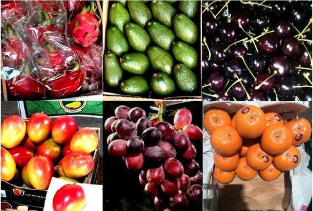 بسته شدن مقطعی پرونده واردات میوه‌های قاچاق