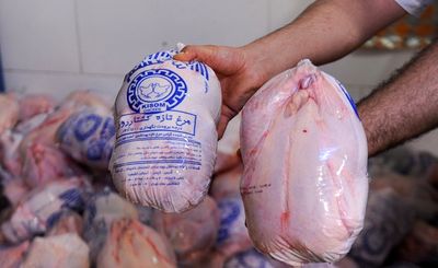 تعدیل قیمت مرغ و تخم مرغ با افزایش تولید
