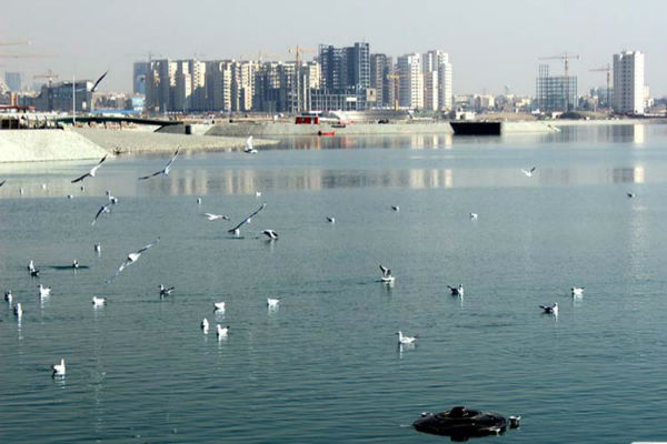 تصفیه خانه دریاچه شهدای خلیج فارس تعطیل نیست 