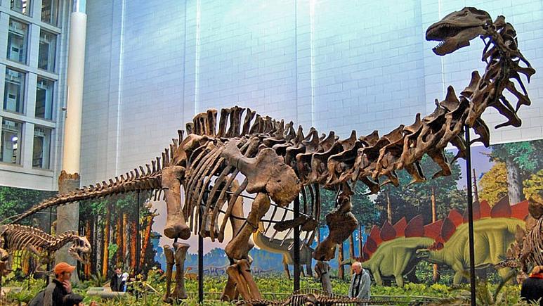تشخیص عفونت تنفسی در دایناسور ۱۵۰ میلیون ساله