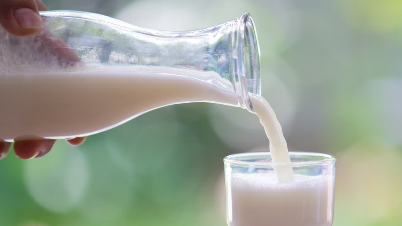 عوارض زیاد خوردن شیر چیست؟