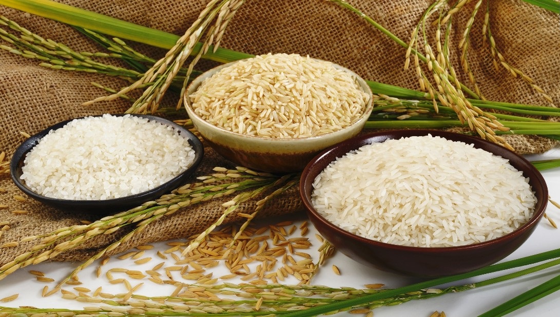 مقررات جدید واردات برنج به کشور اعلام شد