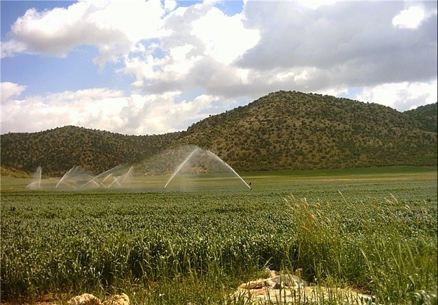 ۹۰ درصد؛ سهم مصرف بخش کشاورزی از منابع آبی کشور