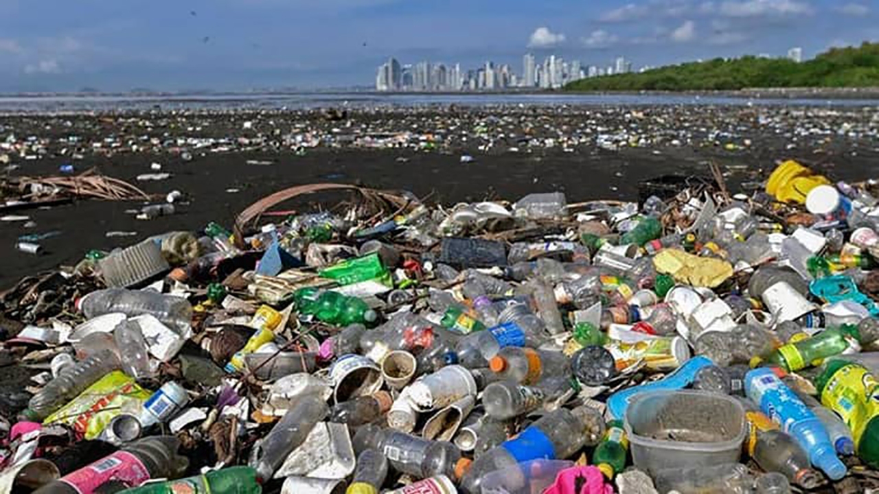 باکتری هایی که وظیفه پاکسازی دریا از زباله ها را دارند!