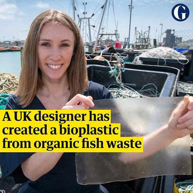 ساخت پلاستیک یک بار مصرف از ماهی!