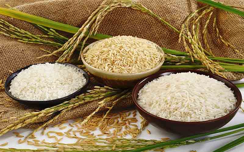 اسرار خانه داری؛ روش تشخیص برنج کهنه و نو، کدام برنج بهتر است؟