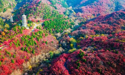 تپه‌ های قرمز رنگ چین در پاییز + فیلم