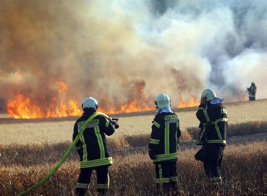 35هکتار از زمین‌های شمیرانات در آتش سوخت