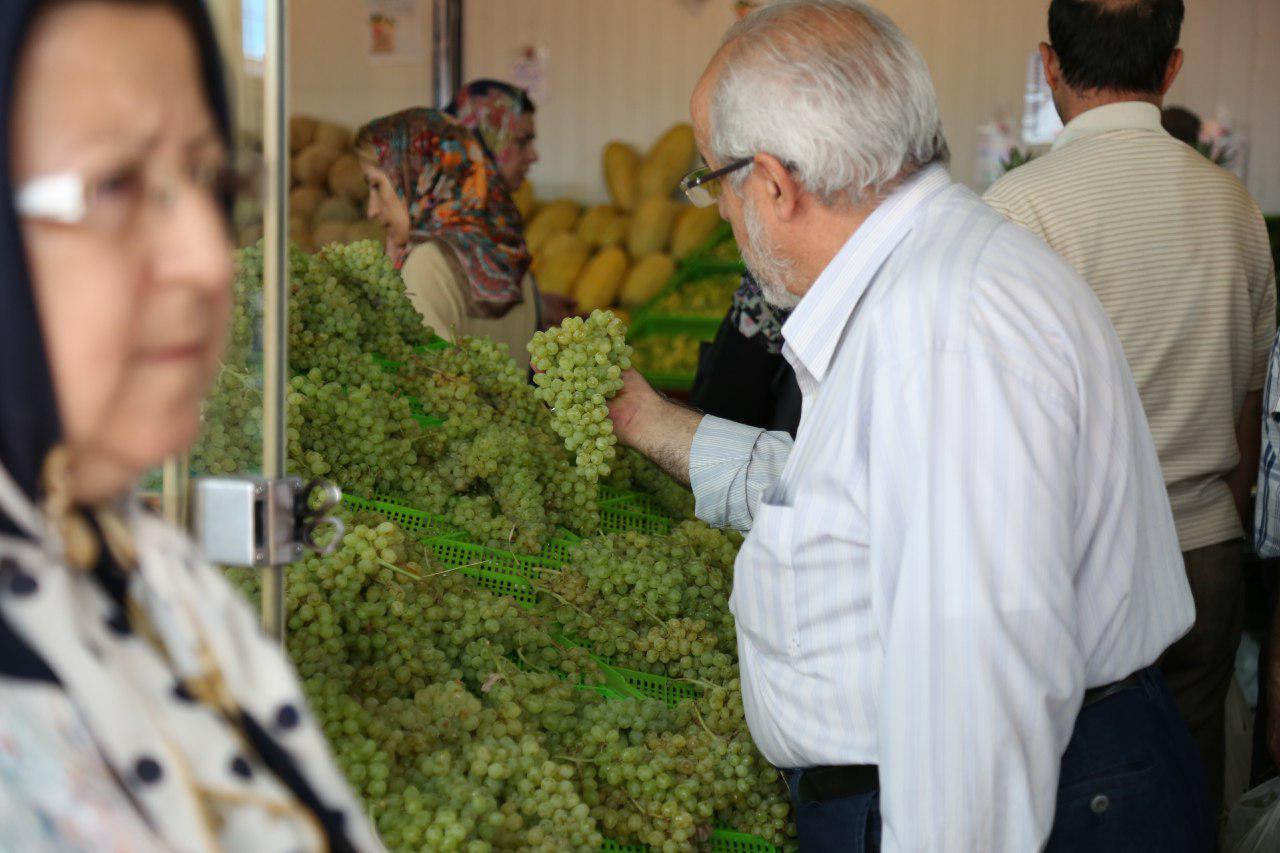 حال و روز بازارهای میوه و تره‌بار تهران +تصاویر