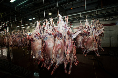 قیمت گوشت قرمز در بازار؛ ۵۰تا ۱۲۰هزار تومان