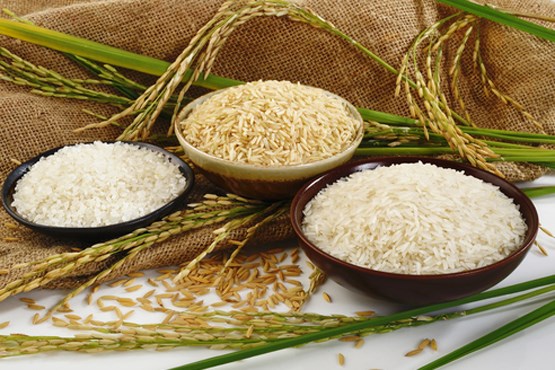 علت دپوی ۲۰۰ هزار تن برنج در گمرکات