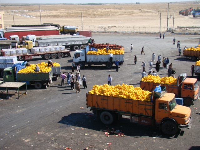 راهکار مقابله با رفتار دوگانه عراق در تجارت محصولات کشاورزی چیست؟