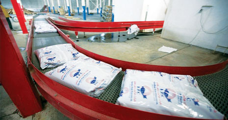  سازوکارهای سرمایه گذاری در بازار پودر ماهی    