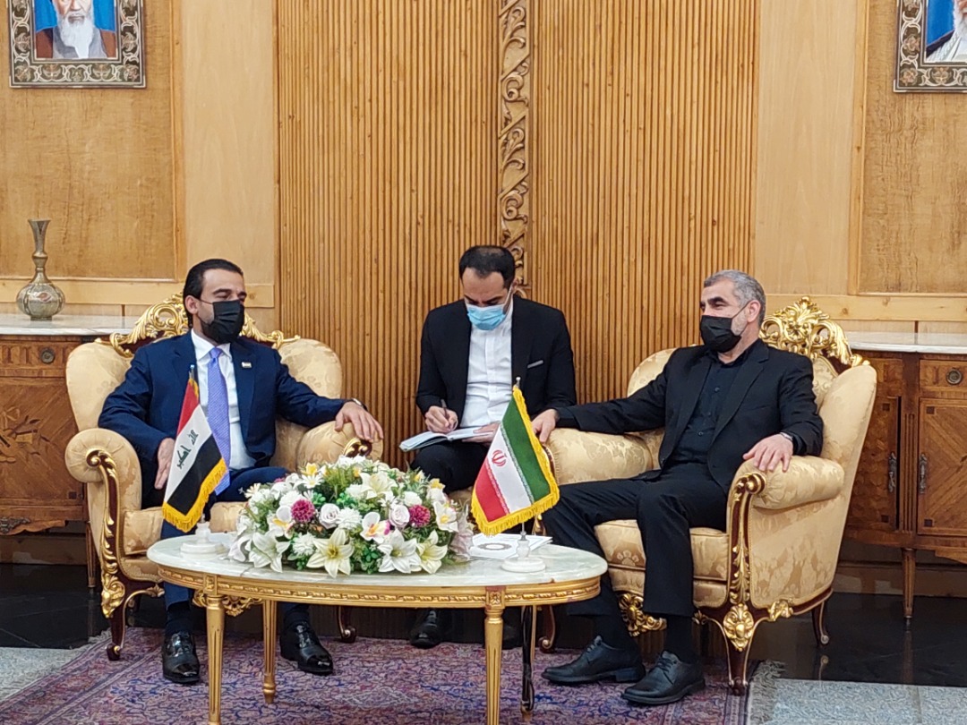 رییس مجلس عراق وارد تهران شد

