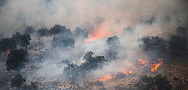 بازداشت عاملان آتش‌سوزی جنگل‌های خائیز