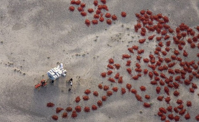 مناظر دیده نشده از چین +تصاویر