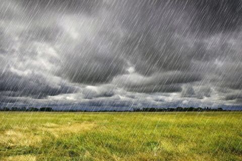بارش ۵ روزه باران و برف در ۱۳ استان / احتمال خسارت به محصولات کشاورزی