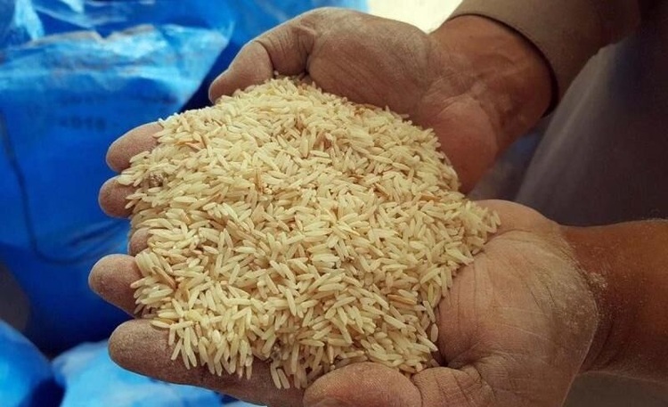 شرایط نگهداری برنج‌های وارداتی در بنادر