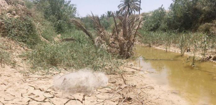تجاوز به حریم رودخانه بهانه توجیه سدسازی/نادیده گرفتن توسعه پایدار علت وقوع سیلاب در پایین دست خوزستان است