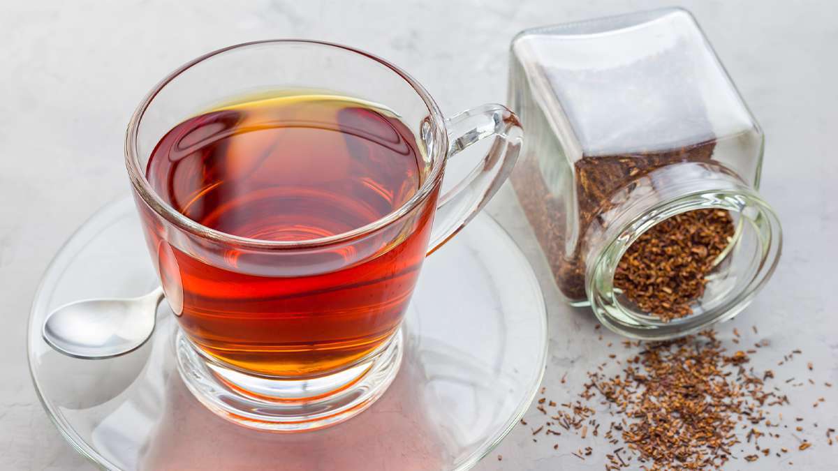 خواص باورنکردنی چای رویبوس + زمان مصرف و عوارض