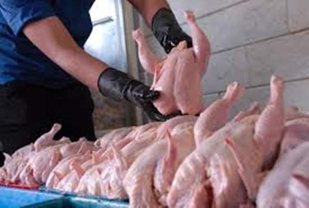 توقف صادرات مرغ در دو سال اخیر