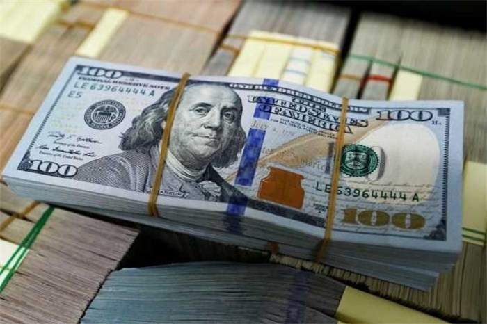 روسیه با ارزهایی غیر از دلار آمریکا وام می‌گیرد 