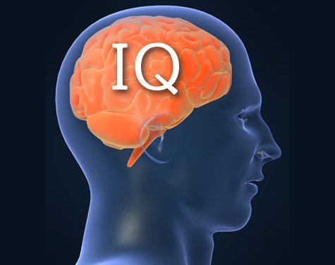 ۱۳ پیشنهاد برای افزایش IQ در سنین بالا 