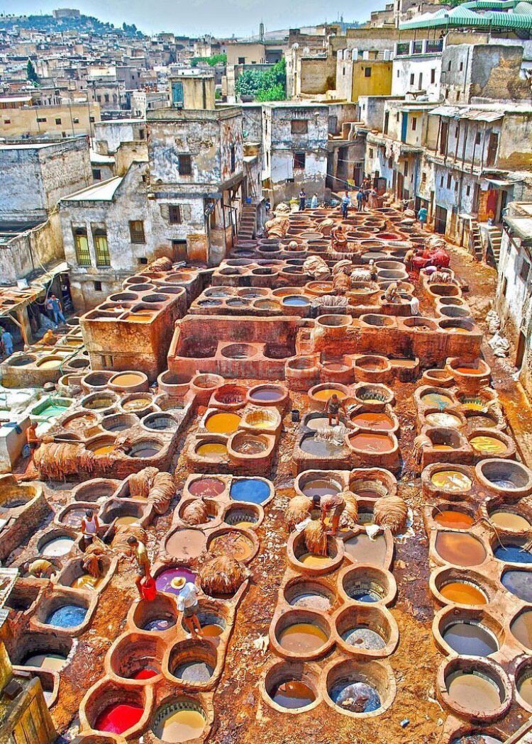 دباغی‌ چرم در شهر فاس مراکش +عکس