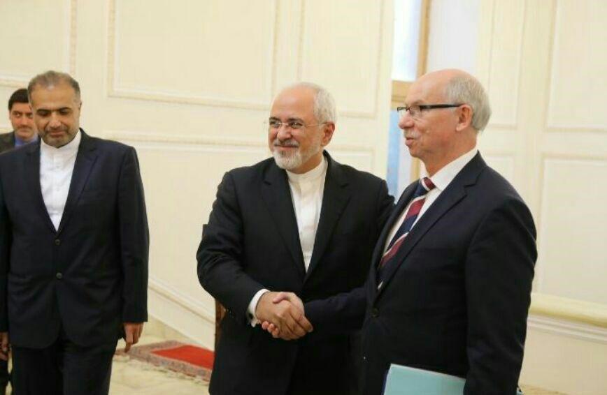 دیدار رییس گروه روابط ایران و پارلمان اروپا با ظریف