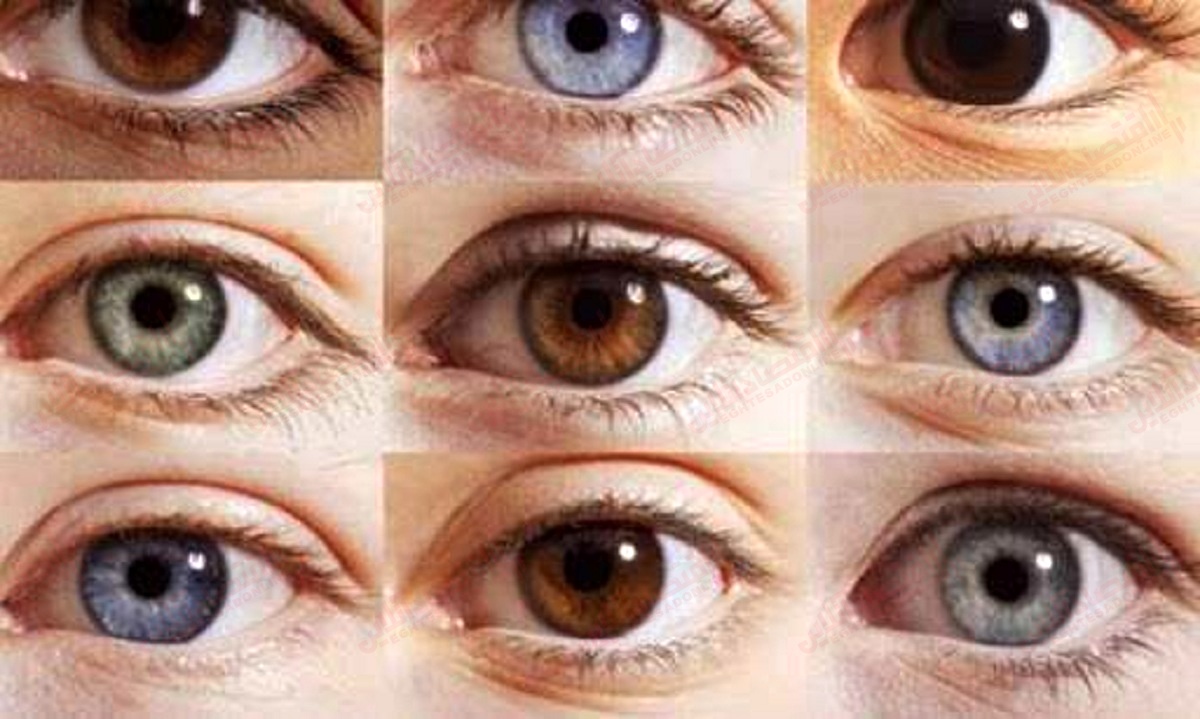 رنگ چشم ها درباره شما و اجدادتان چه می گویند؟ /  ویژگی خاص چشم روشن‌ها