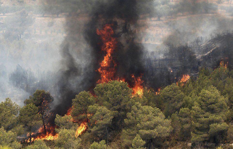 مهار آتش‌سوزی پارک ملی گلستان