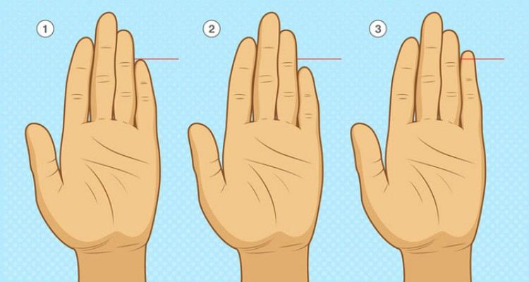 تست شخصیت؛ کدام انگشت شما بلندتر است؟