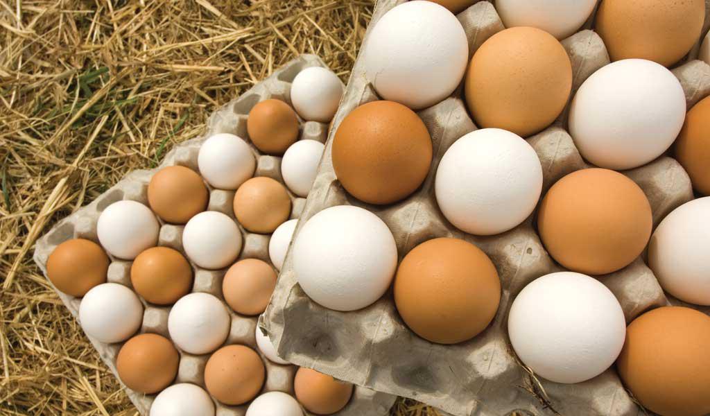 تخم‌مرغ‌های تنظیم بازاری شکسته، پس گرفته می‌شود