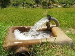 ۹۲درصد منابع آب صرف بخش کشاورزی می‌شود