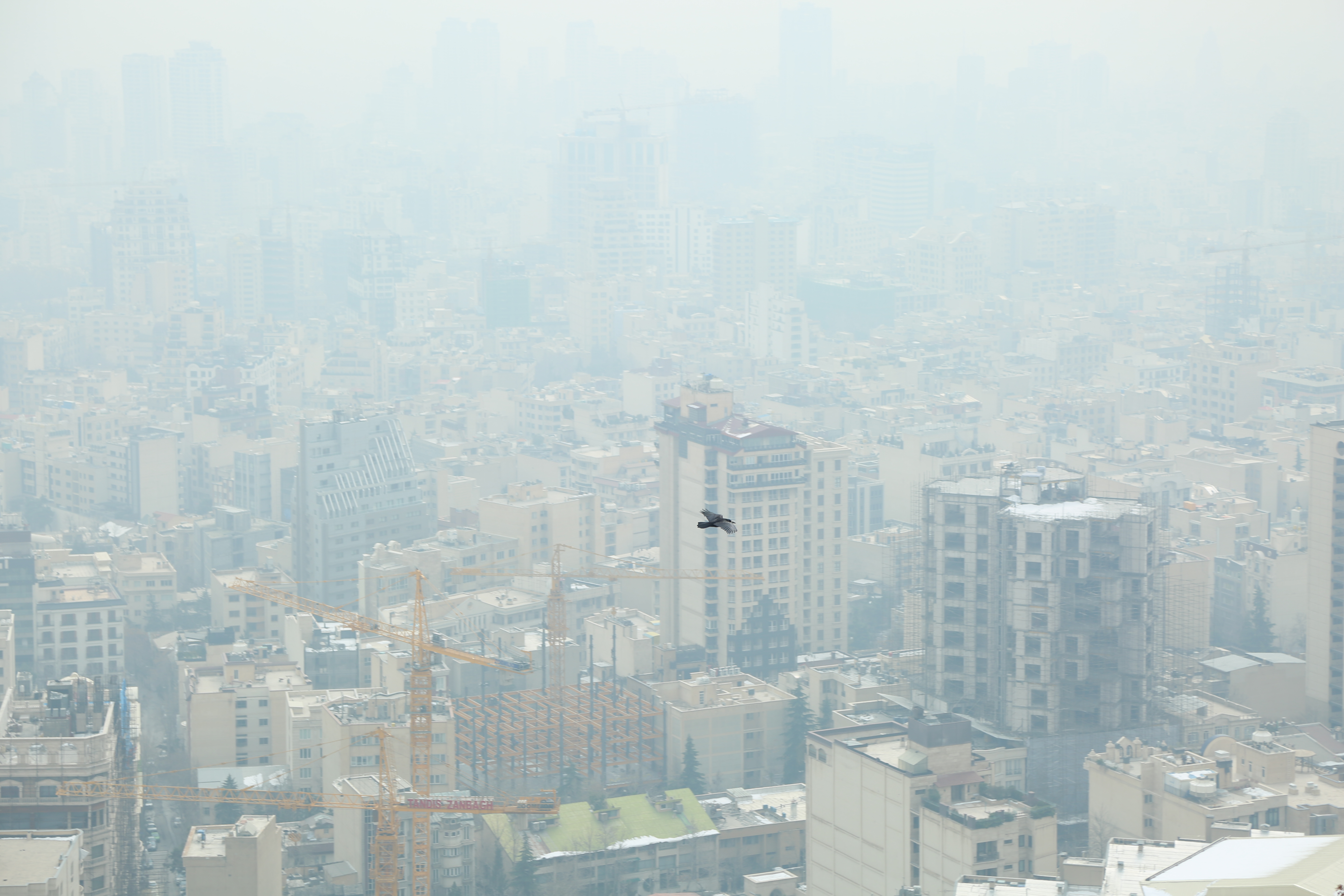 آلودگی هوا امید به زندگی را دستکم یک سال کم می‌کند
