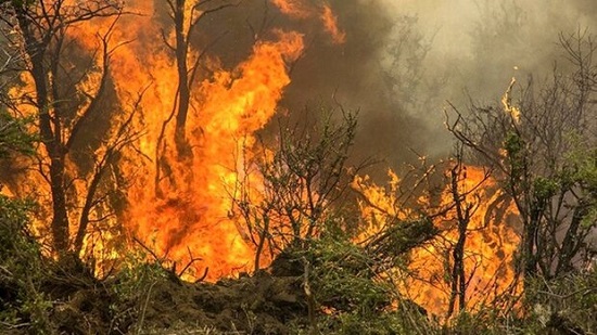 جنگل‌های چوار همچنان در محاصره آتش