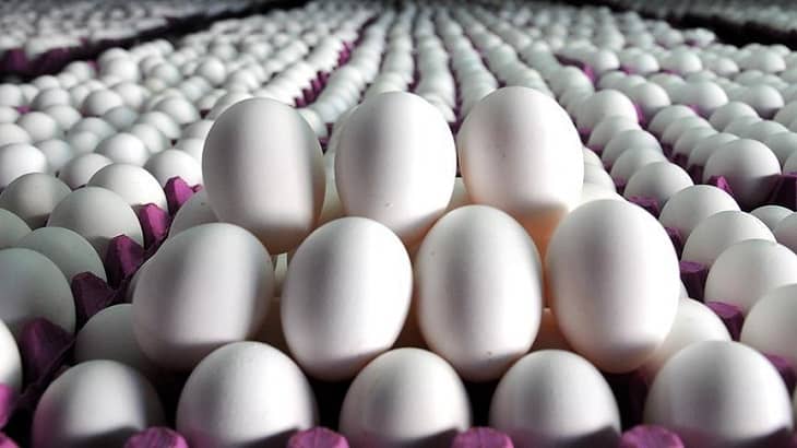 قیمت تخم مرغ کاهش یافت / هر شانه، ۴۴هزار تومان