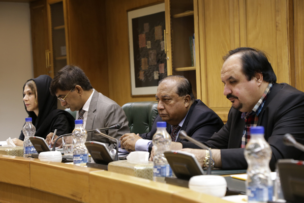 کمیته‌های مشترک، راهگشای فعالیت‌بانکی ایران و پاکستان 
