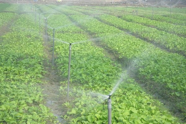 افزایش  ۱۸ درصدی بهره وری آب کشاورزی