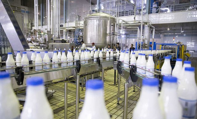 کاهش ۳۵درصدی فروش شیر