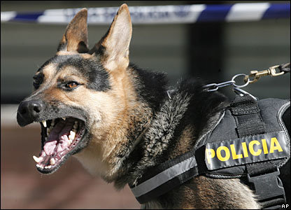 حمله سگ‌های پلیس به معترضان در هلند