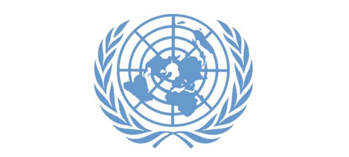 تصویب لایحه الحاق ایران به کنوانسیون سازمان ملل برای مبارزه با جرائم سازمان یافته فراملی 